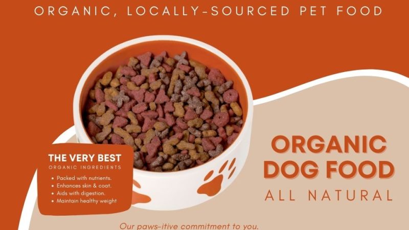 Bowl of organic dog food with text highlighting its natural ingredients, health benefits, and commitment to quality.