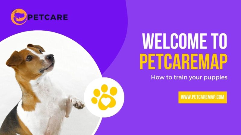 'WELCOME TO PETCAREMAP - How to train your puppies.' A pet care logo and website URL (www.petcaremap.com) are also included.